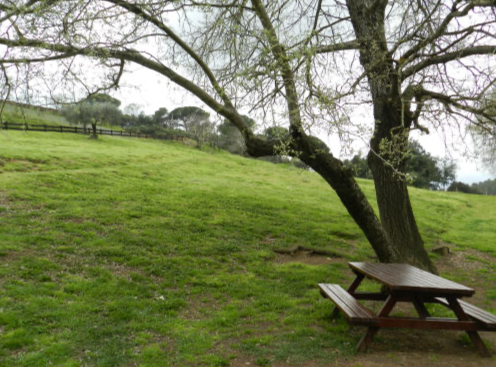 Prat 1 - Montcau.webp