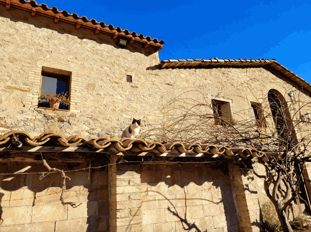 Captura de pantalla 2025-09-02 a las 15.39.26.webp