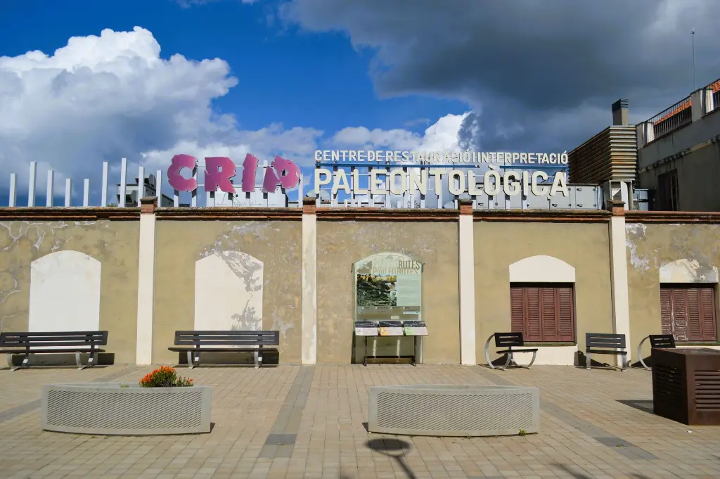 Copia de DSC_0117.webp