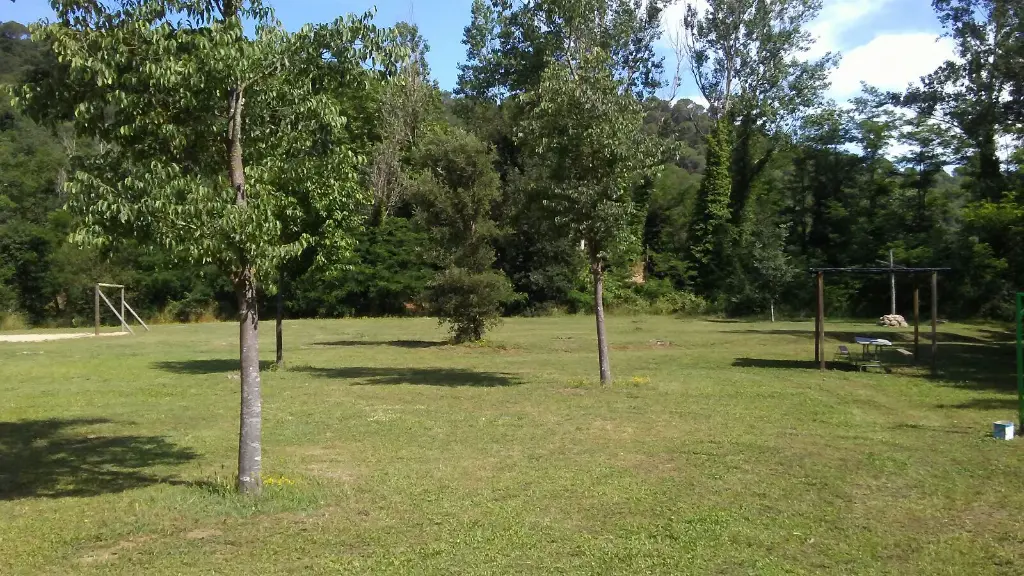 Ramió 20 prats de baix.webp