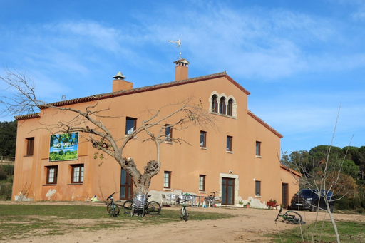 Mas Panella